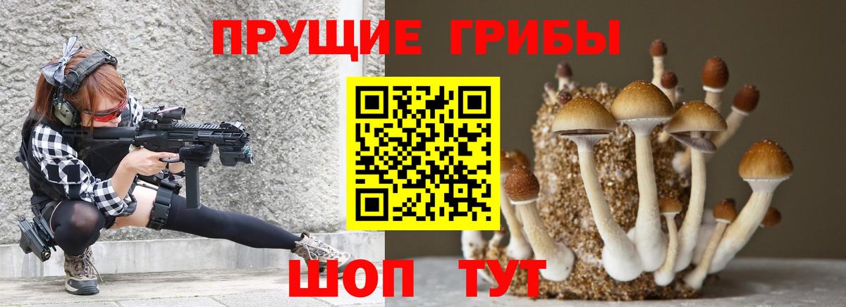 Хабаровск  Галлюциногенные грибы Psilocybe  Вход с VPN 