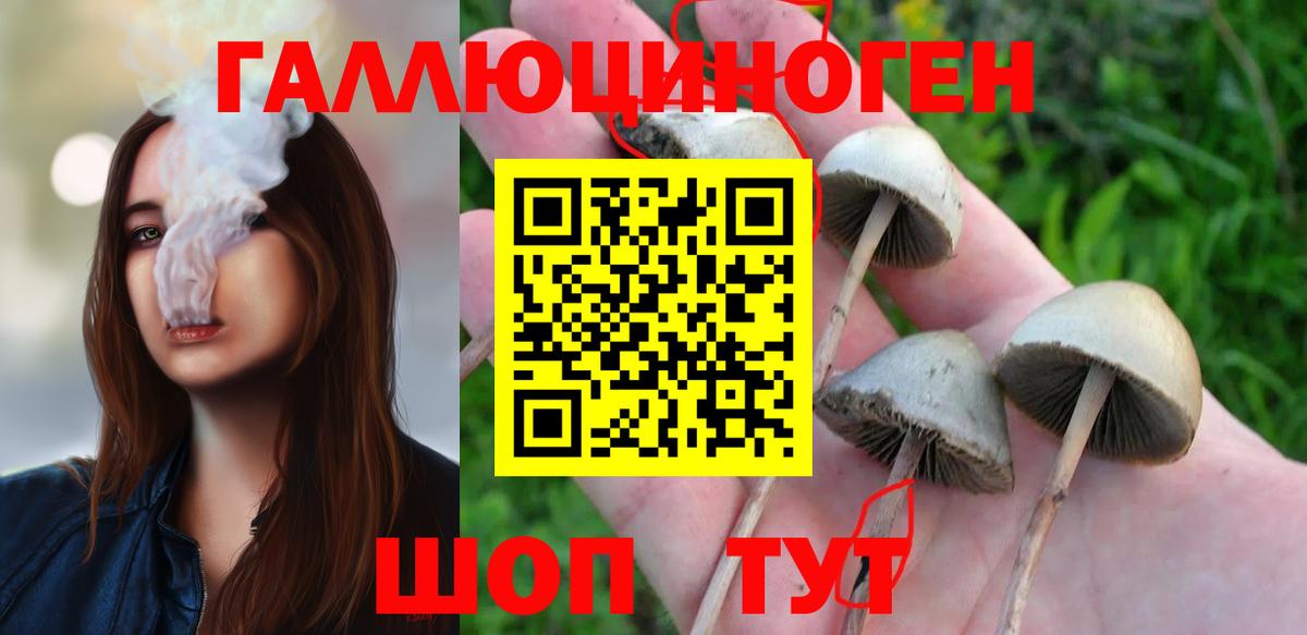 Псилоцибиновые грибы Magic Shrooms Хабаровск